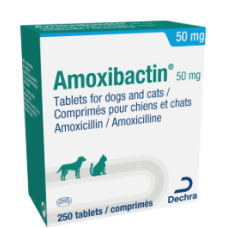 amoxibactin chat 50 mg