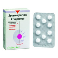 Spasmoglucinol chat